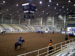 Tennessee Arenas