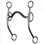 D & L Reiner Mullen BBR836
