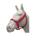 Original Parker Nylon Halters H10 Original Parker Nylon Halters H10