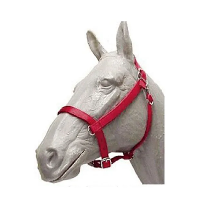 Original Parker Nylon Halters H10