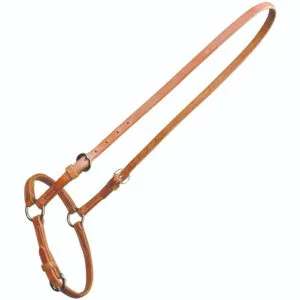 Sharon Camarillo Drop Noseband T147