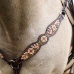 Circle Y Dogwood Desert Breast Collar Circle Y