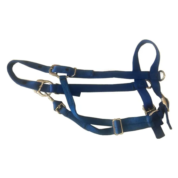 Original Parker Nylon Yearling Halters Royal Blue H10RB